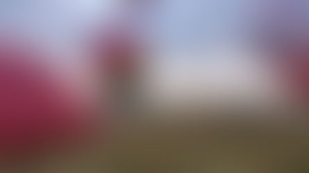 Magia zborului cu balonul  - în nacelă, deasupra Hunedoarei