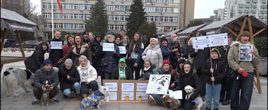Protest la Deva împotriva eutanasierii animalelor
