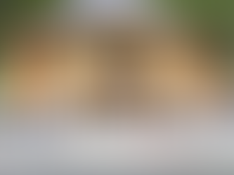 „Statu’ la vase”, obicei unic la Șugag. Emoție, credință și tradiție în a doua zi de Paște