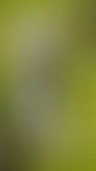 15 Productive Things to Do at Home (That Are Actually Fun)