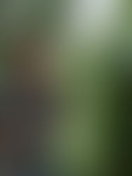 5 Amazing Wellness Benefits of Hiking (+ Top Hiking Shoe Picks)