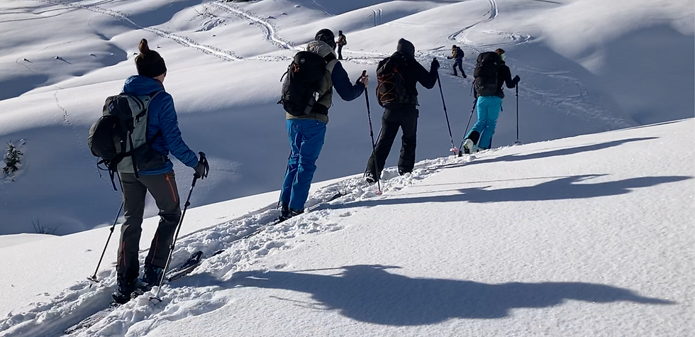 skitour group.png