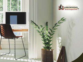 Modern home office with a desk, computer, and plants, bathed in natural light.