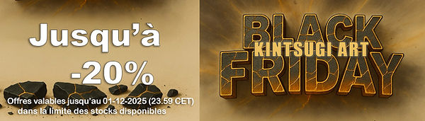 bannière black fyday.jpg