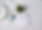 WCP-Lictec-026.png