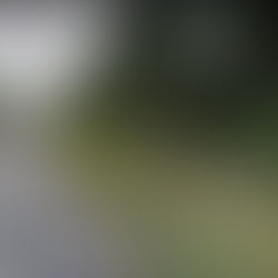 RABBIT HILL CIRCLE (Dacula, GA)