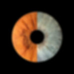 Thumbnail: UV printing