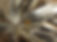 Tarieven-Rob-Derksen-Holistisch-therapeut-en-coach.jpg