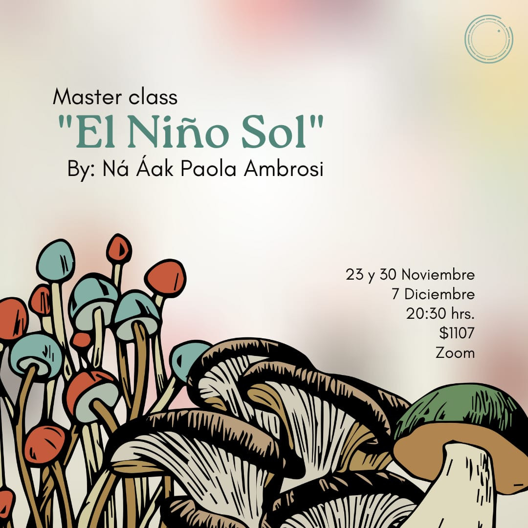 Master Class Niño Sol