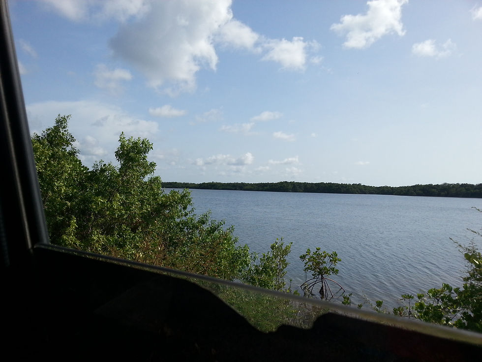 Cayo Jutias בדרך חזרה מ