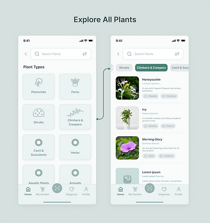 explore plants.png