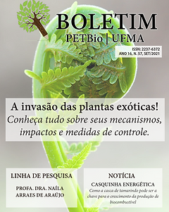 Capa e Sum rio.indd.png