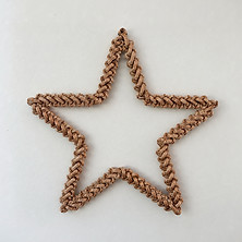 Christmas Star_edited.jpg