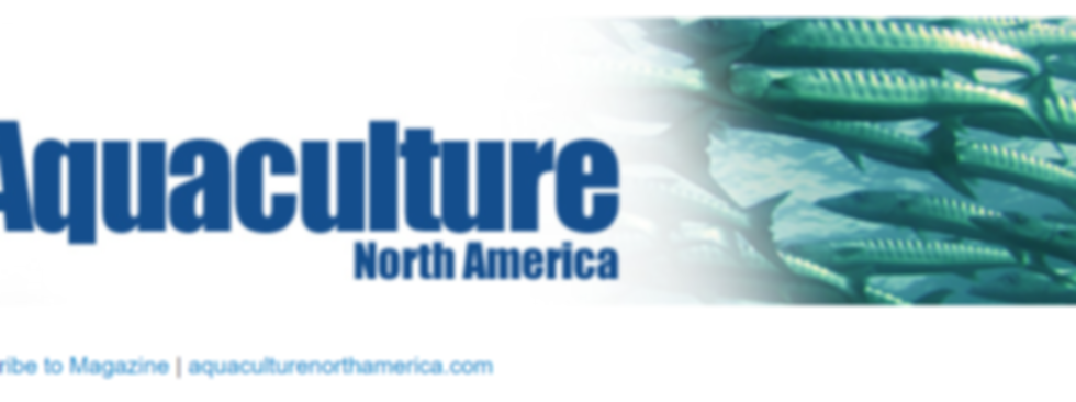 Screenshot 2024-04-11 104037.png