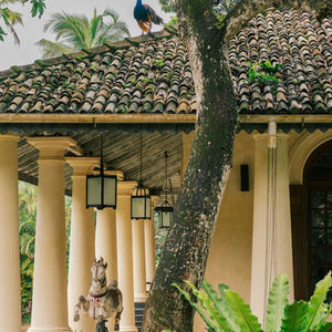 Heenatigala Walawwa Luxury Villa & Nature Retreat | Sri Lanka