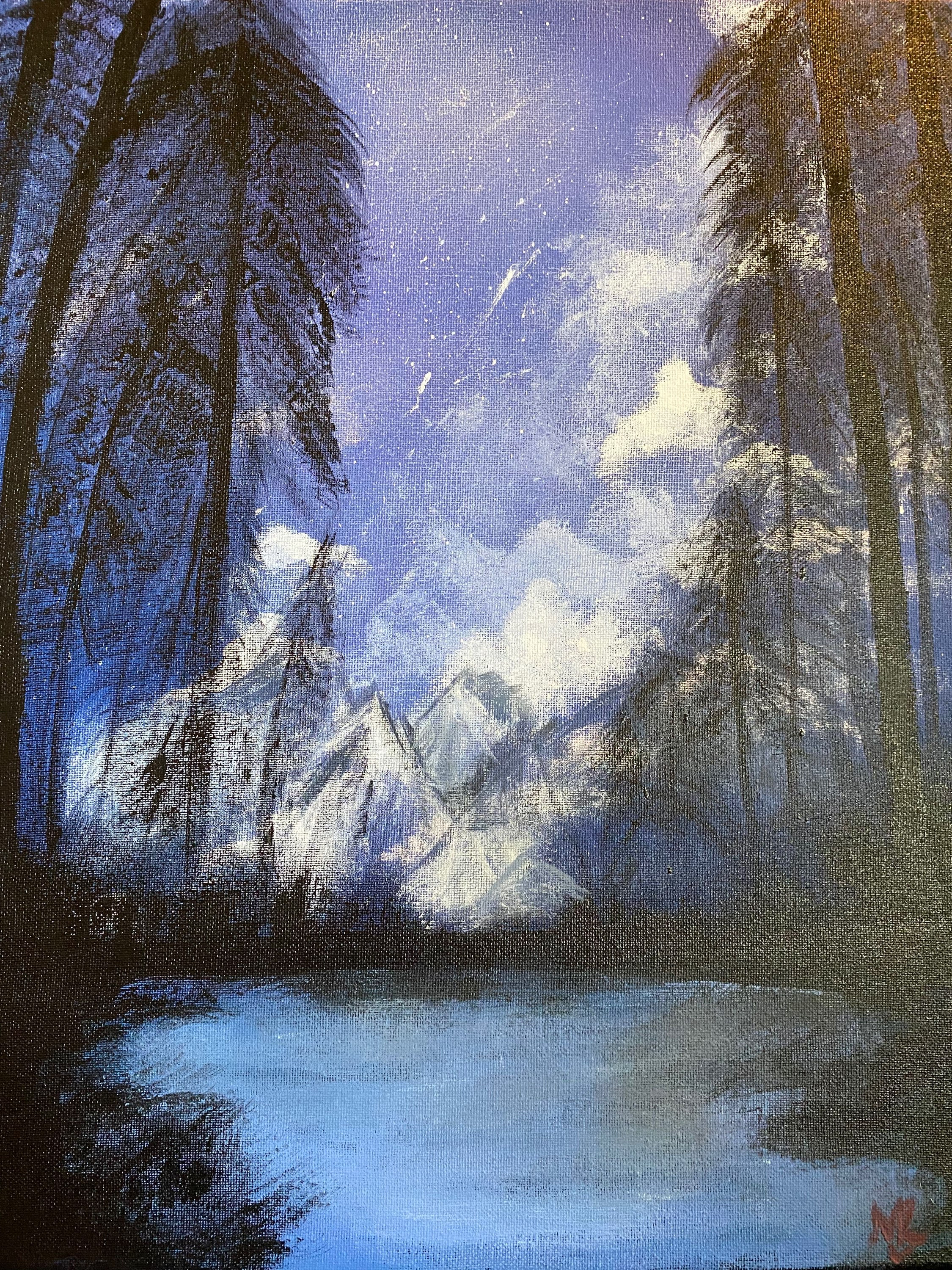 16X20 mountains and forest at night