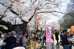 DSC04038