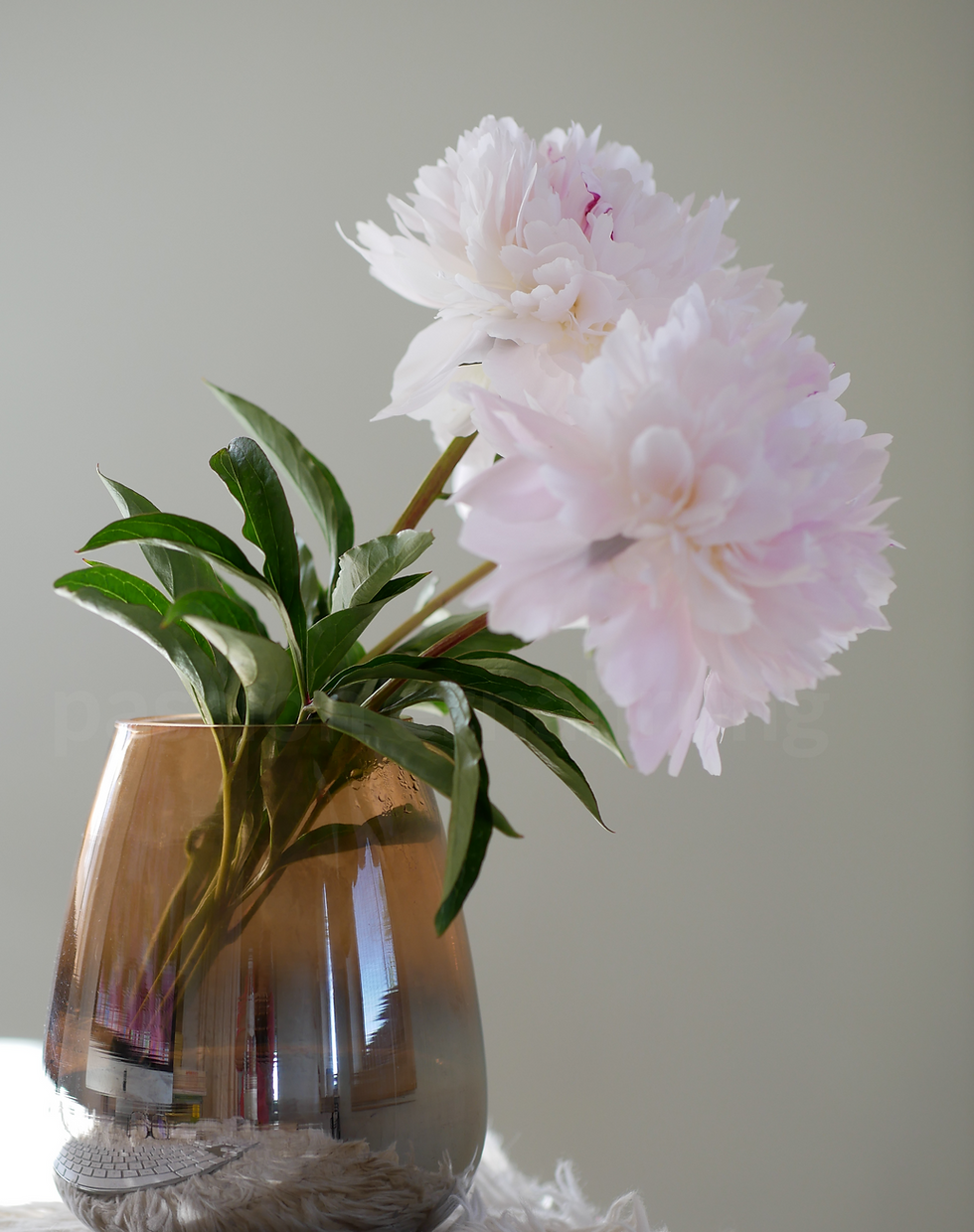 Rosa Pfingstrosen in einer braunen Glasvase auf einem Tisch.