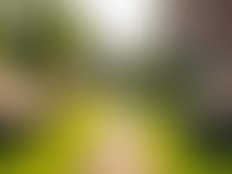 Short-Term Respite Care for Seniors