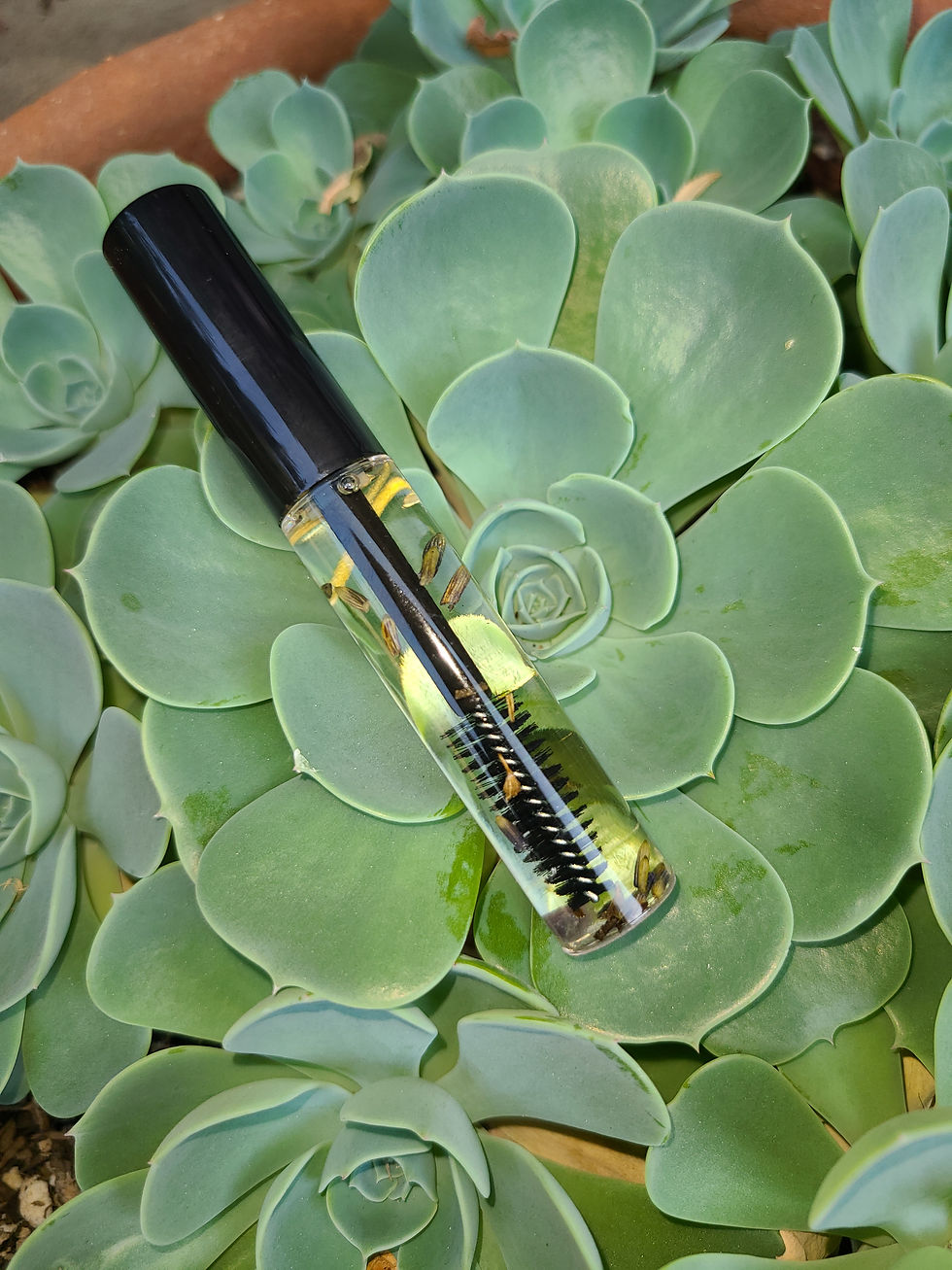 Thumbnail: Basic Eyelash Growth Serum