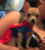 Paco