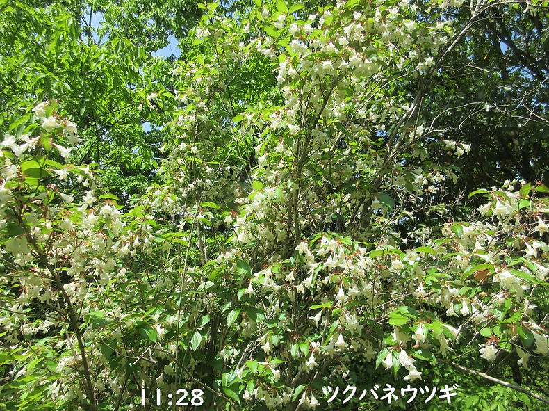 260502-1128.JPG