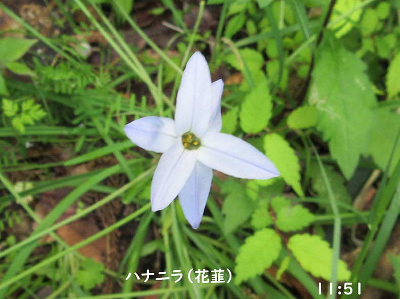 260502-1151a.JPG