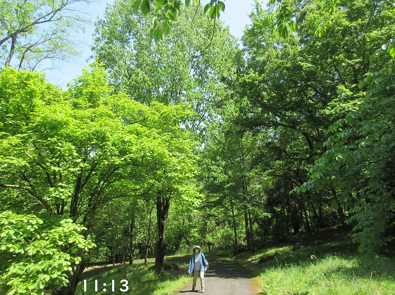 260502-1113.JPG