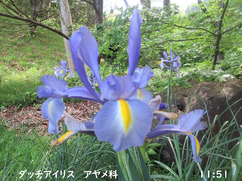260502-1151b.JPG