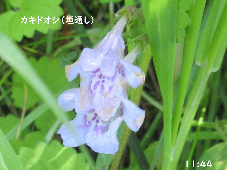 260502-1144.JPG