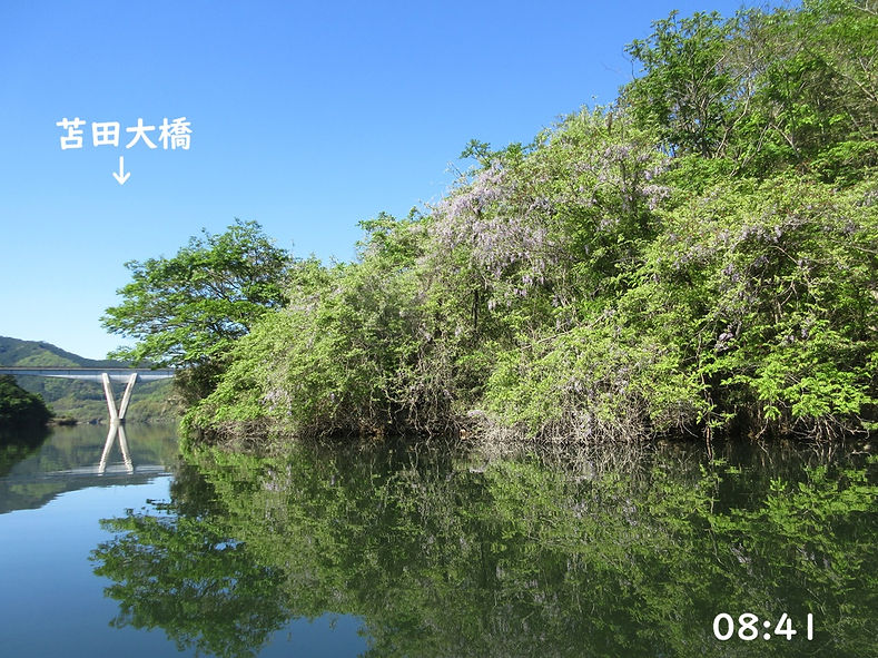 260505-0841.JPG