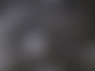 A blue jay perches on snow covered branches with fluffed feathers to stay warm.