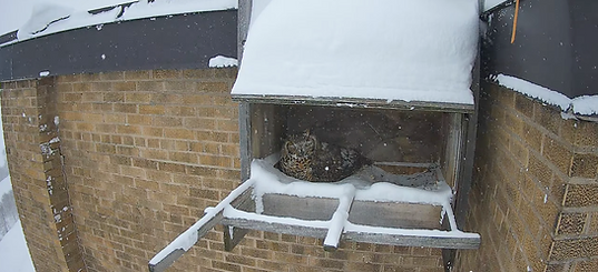 Screenshot 2026-01-23 at 12.11.33 PM.png