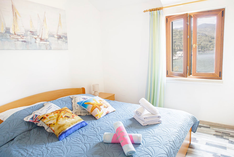 Image 25.11.2024. at 00.24