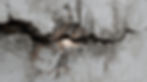 0_3 (10).jpeg