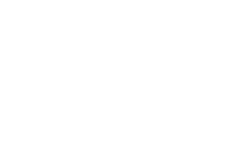 Logo MD Wix.gif
