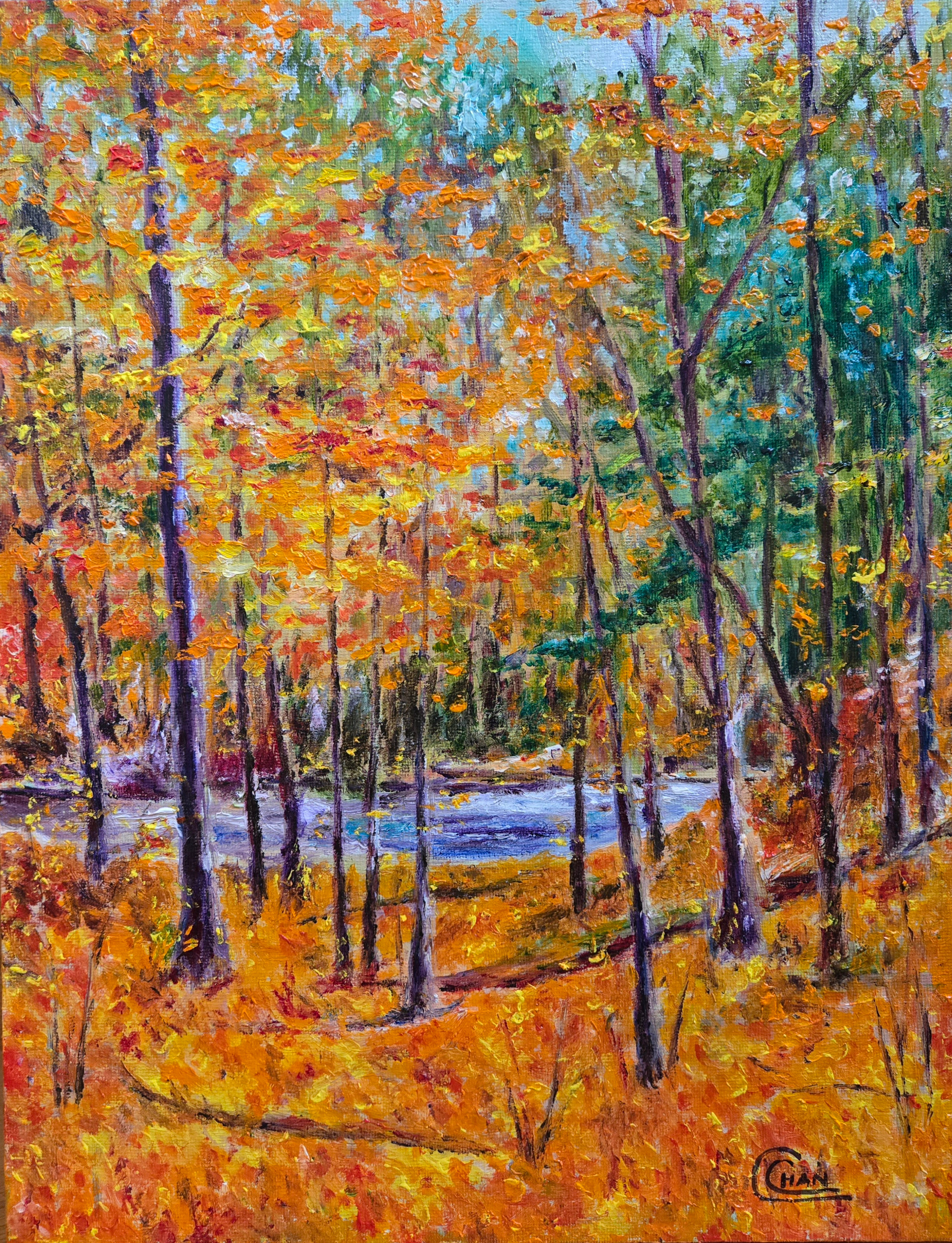 Kingsmere's Autumn - Sold🔴