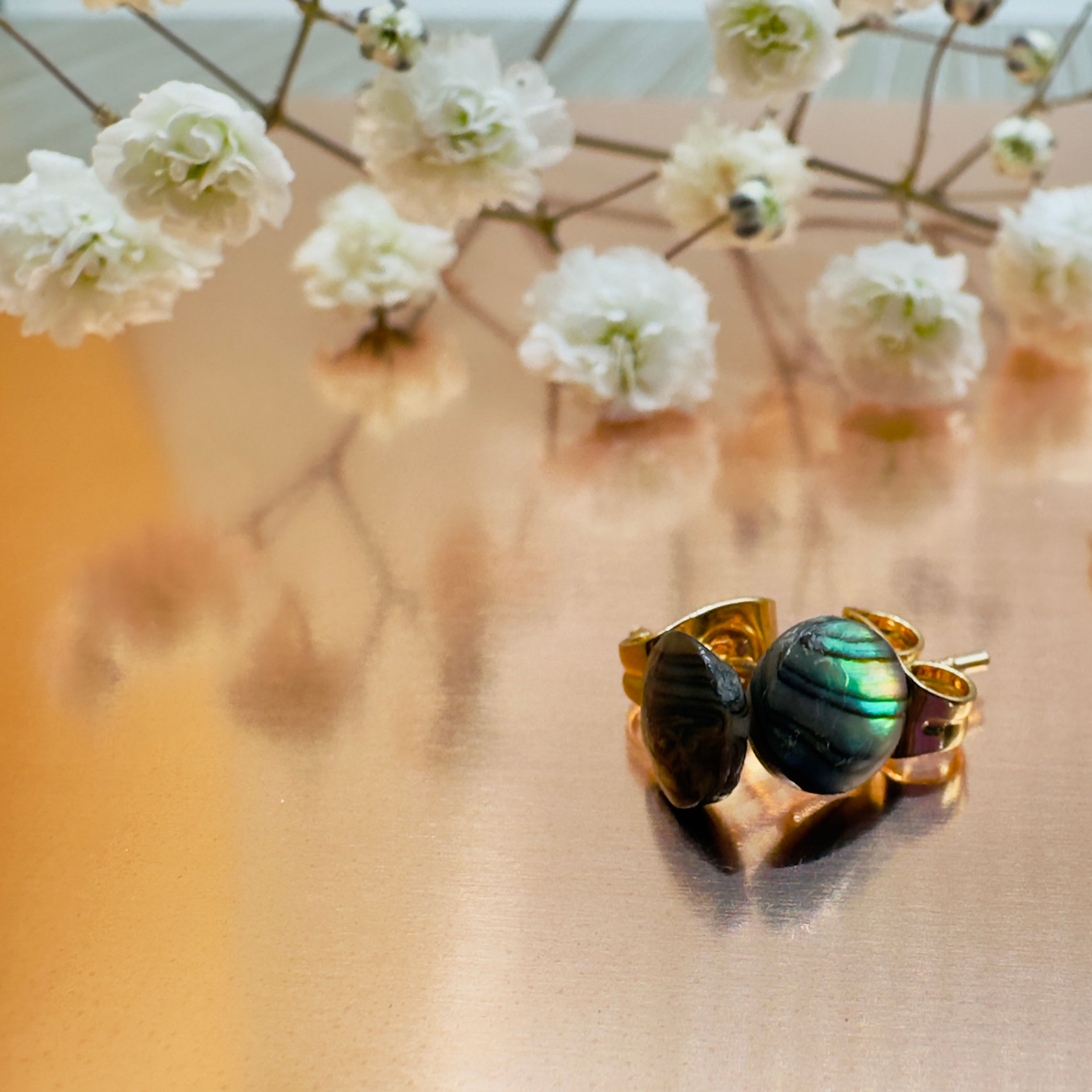 14K GF Paua Shell Studs