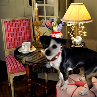 04_DSC0209 Beispiel big.jpg