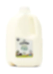 51KlWAp-gaL._SY550_.jpg
