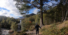 A person walking away from the viewer in a wooded landscape with river