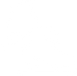 ice-skates.png