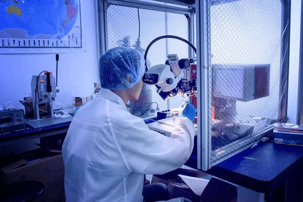 Exploring Innovative Alternatives to Animal Testing in Toxicology