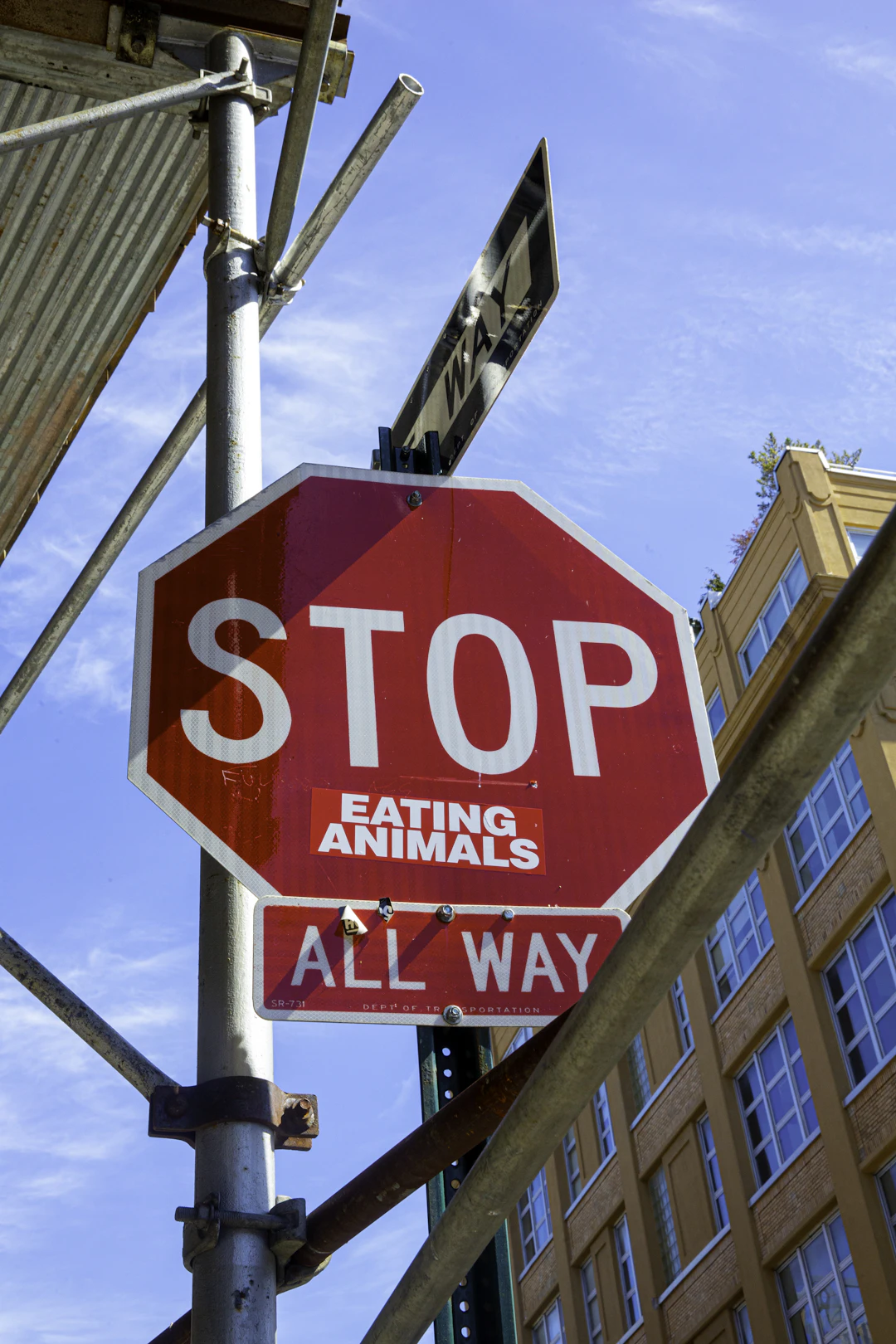 Exploring Alternatives to Animal Testing in Toxicology