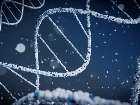 Biologics vs. Small Molecules: Navigating Safety Considerations in Drug Development