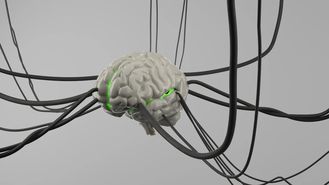 Unraveling Neurotoxicity Assessment in Drug Safety Studies