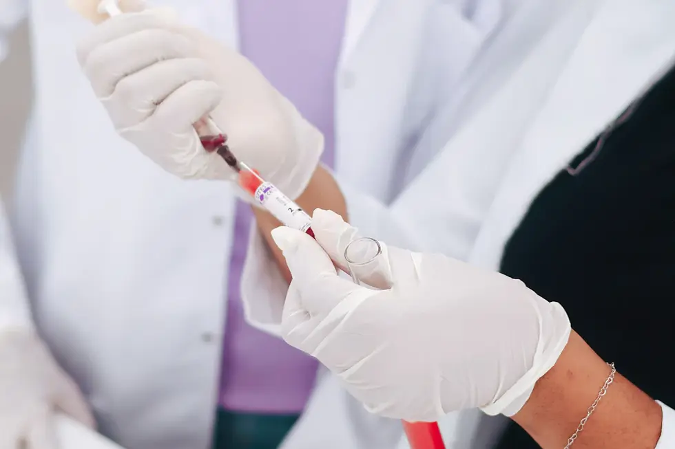 Evaluating Reproductive Toxicity in Drug Trials: A Guide to Success in the Pharmaceutical Industry