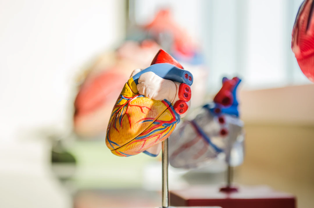 Cardiotoxicity: Assessing Heart Safety of New Drugs