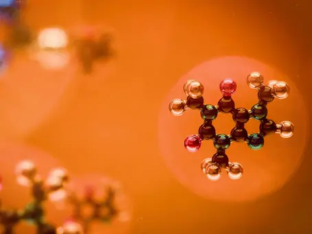 Understanding Immunotoxicity Assessments in Drug Development: A Vital Step for Nonclinical Safety