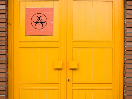 Mastering Nonclinical Safety Assessments: Key Components Every Professional Should Know
